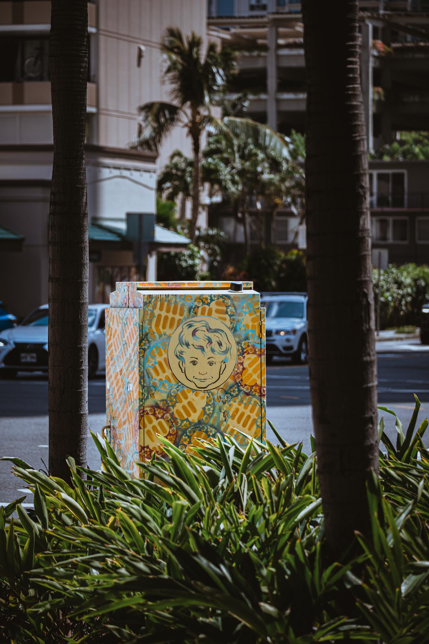 Painted utility box framed by palms
