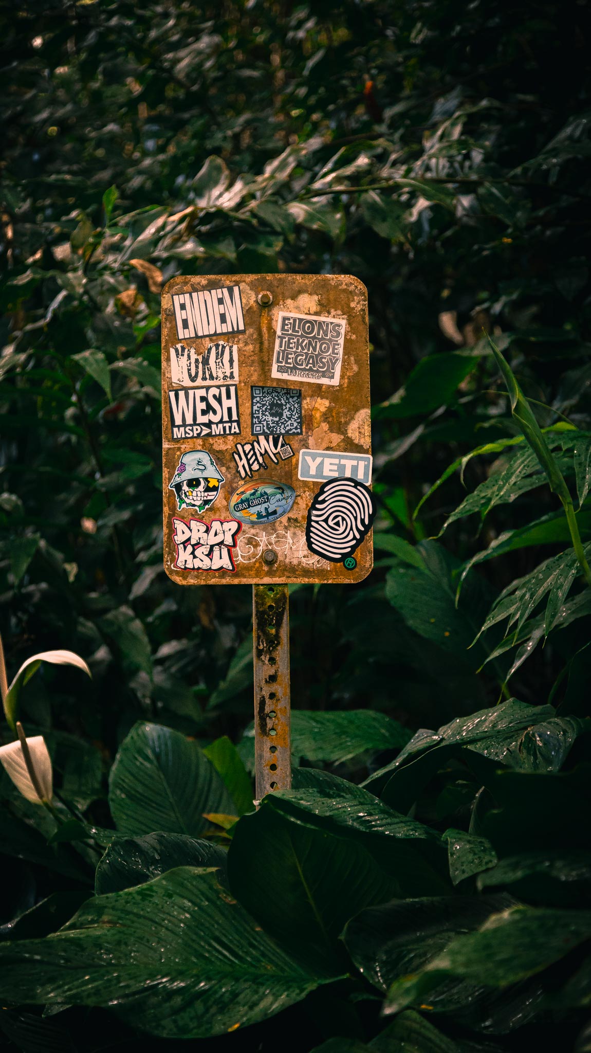 Trail marker tucked into wet foliage