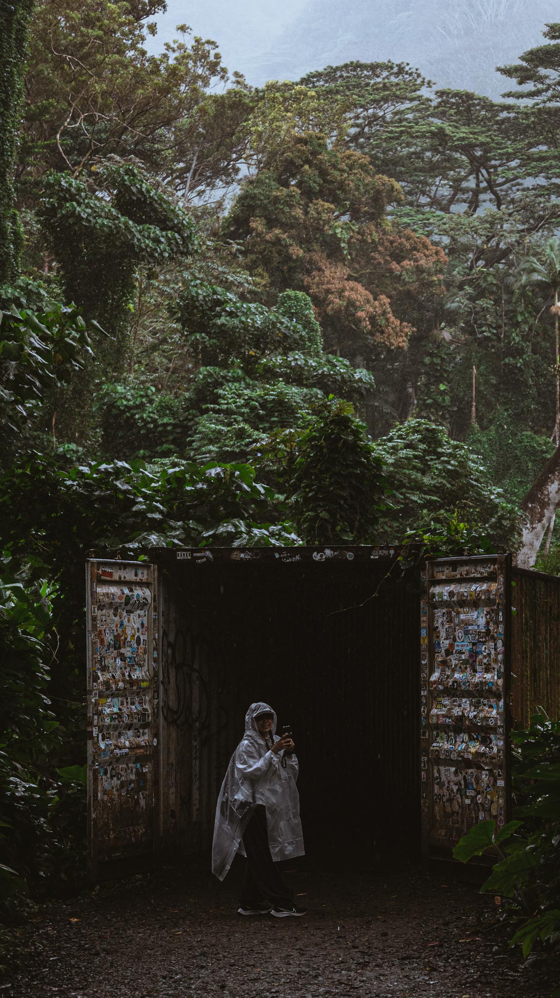 Trail sign and figure in Manoa Falls greenery