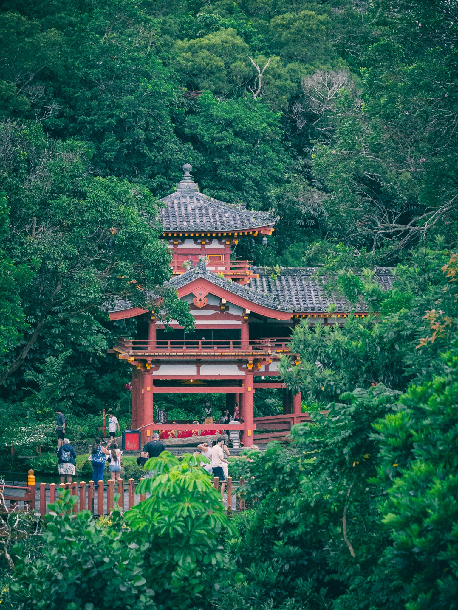 Byodo-In Temple seen through green valley foliage