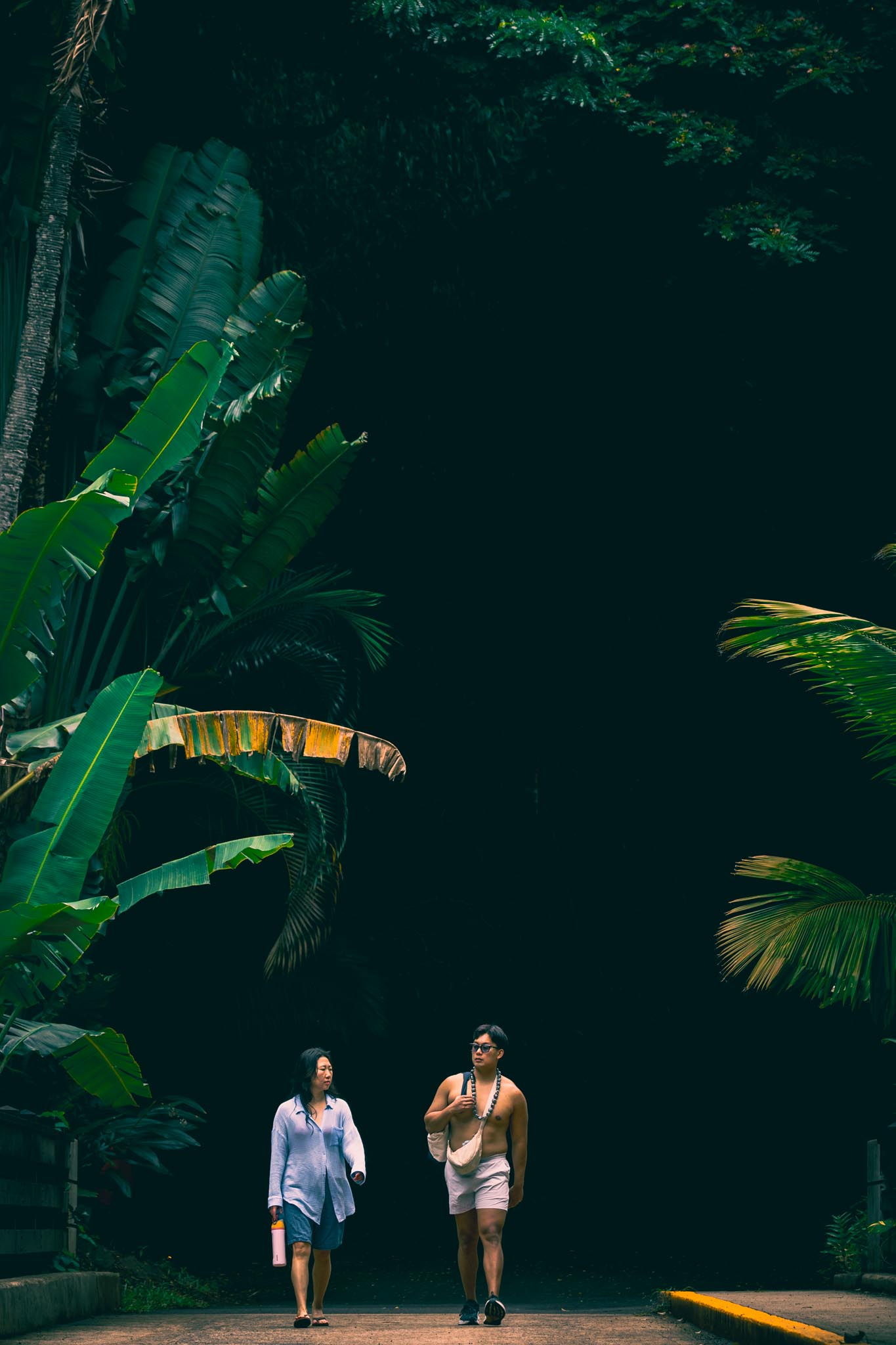 Couple walking a shaded jungle path