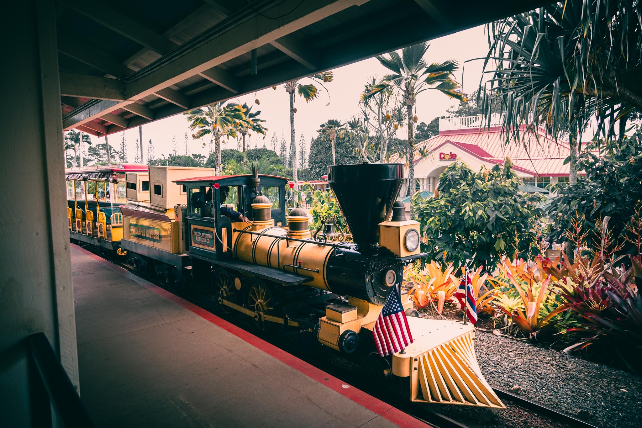 Plantation train under the station roofline