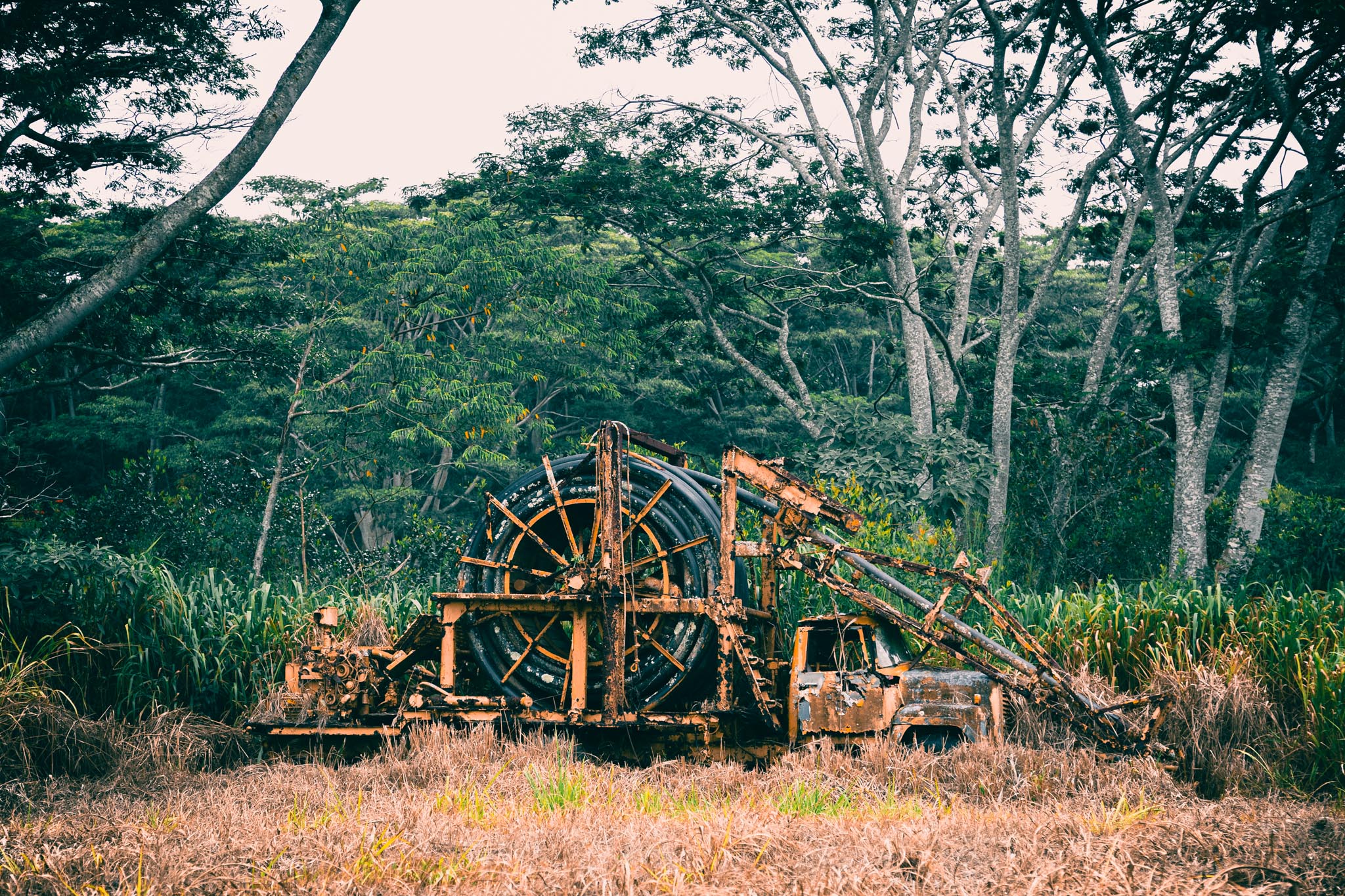 Rusted plantation winch in the grass