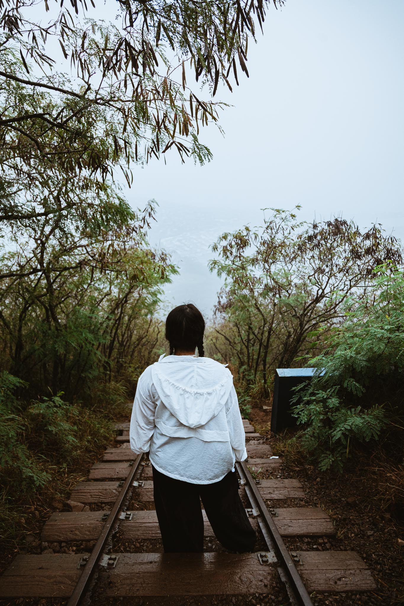 Silhouette on the fogged stairs