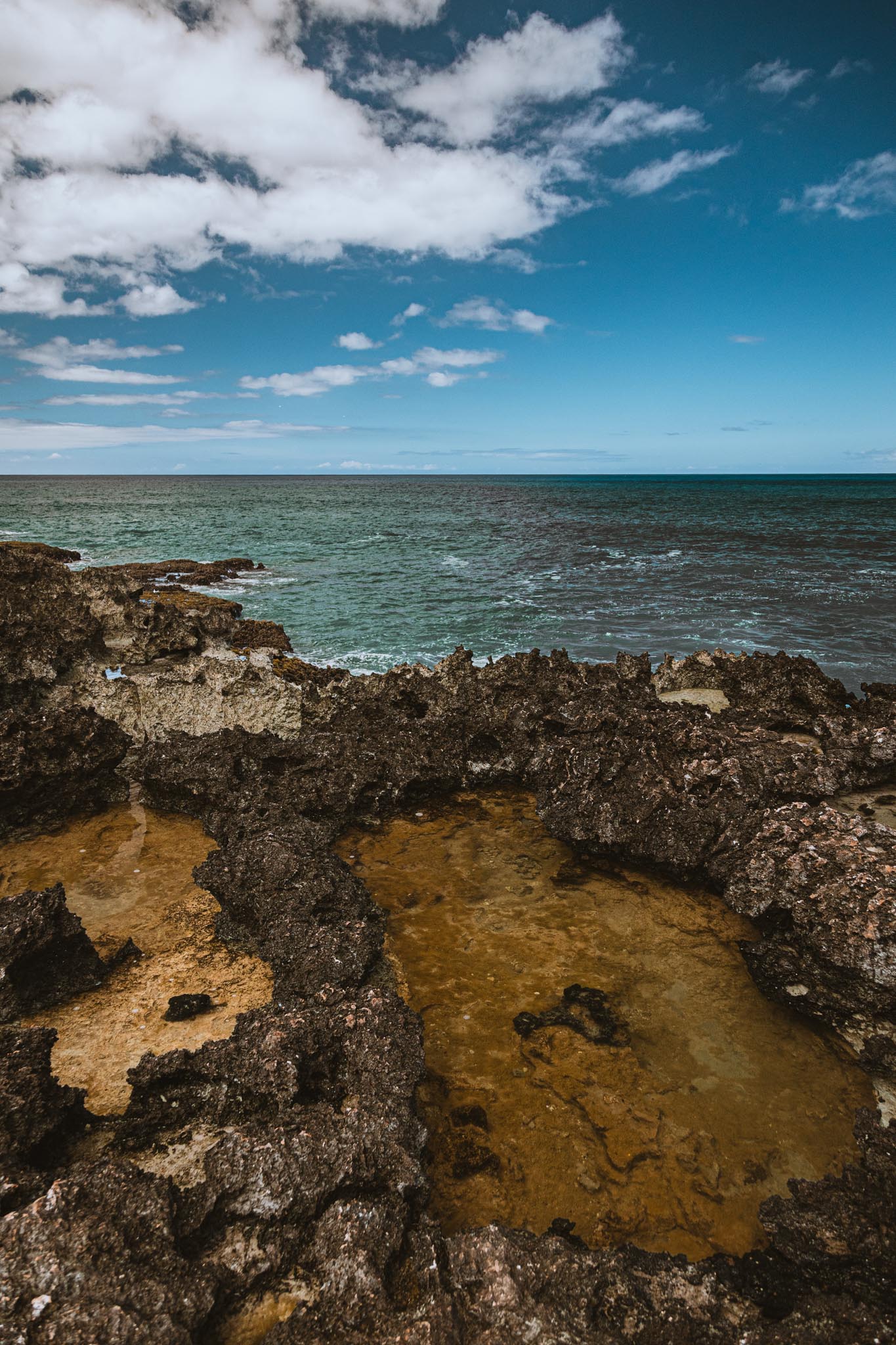Tide pool shelf and distant peninsula