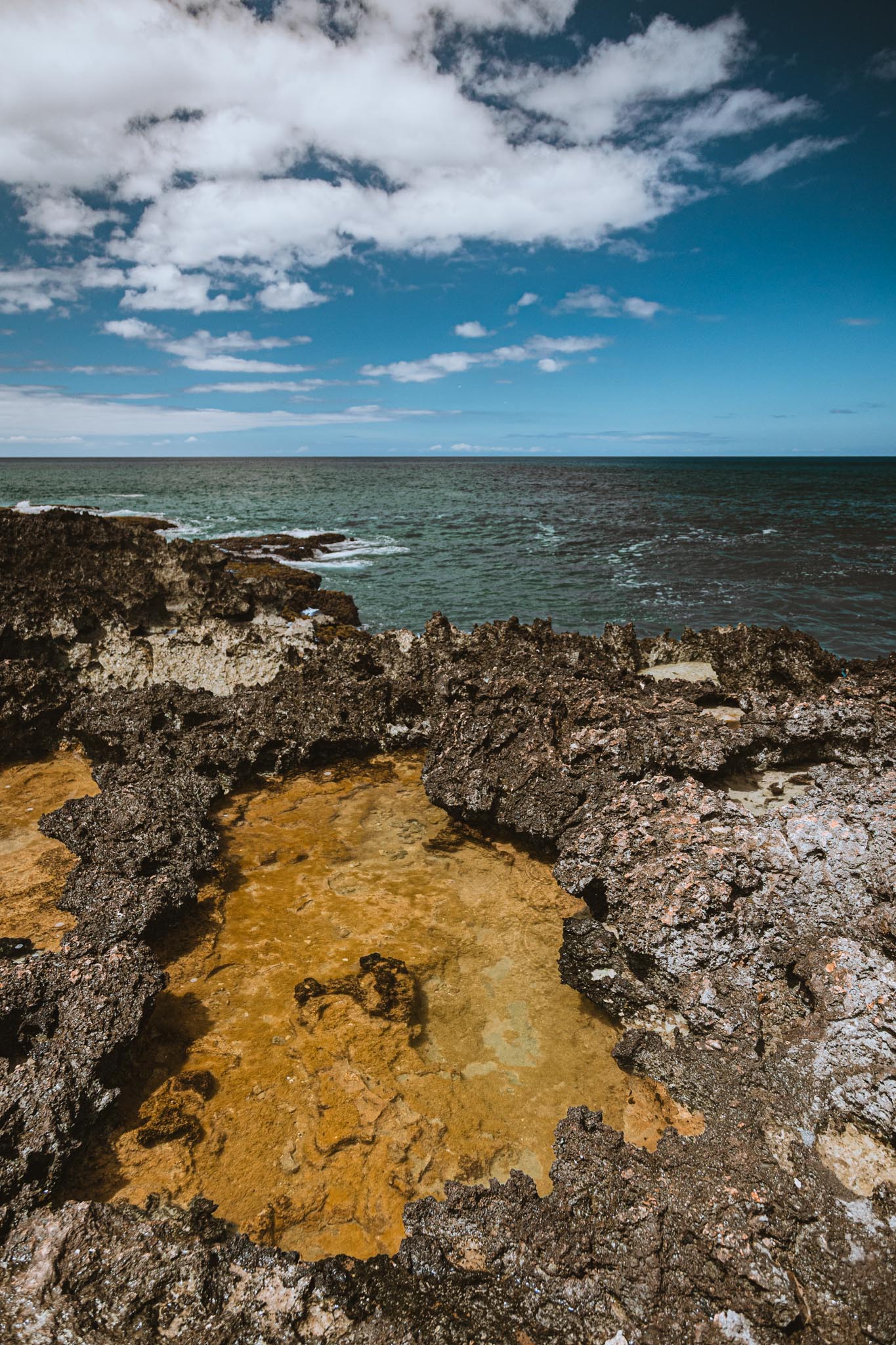 Rust-gold tide pool against black lava